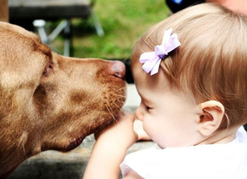 Sweet! When kids meet animals