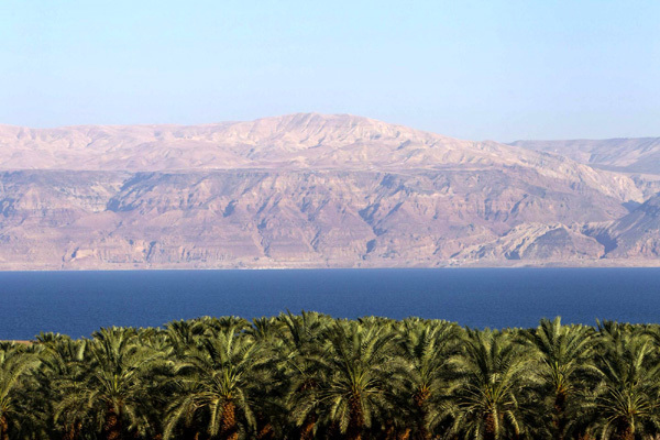 Not-so-deadly Dead Sea