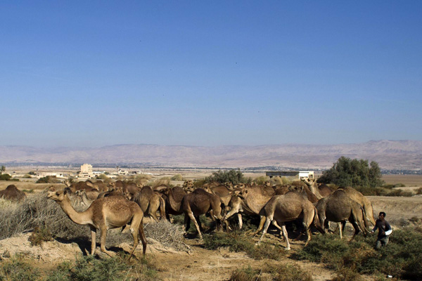 Not-so-deadly Dead Sea