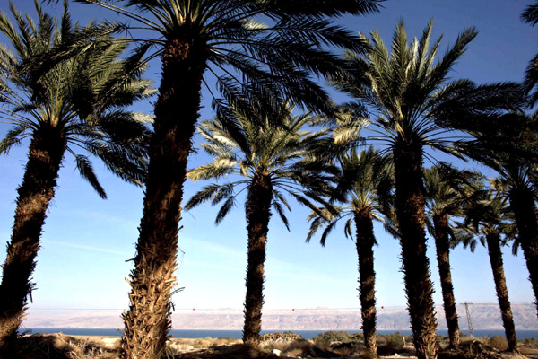 Not-so-deadly Dead Sea