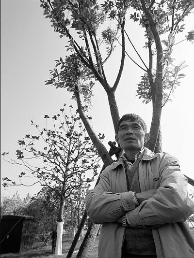 Planting roots in Shanghai