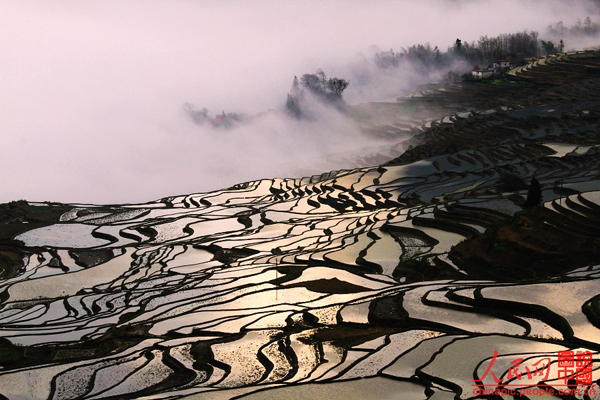 Breathtaking Yuanyang Terrace, Yunnan