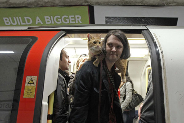 'A Street Cat Named Bob'