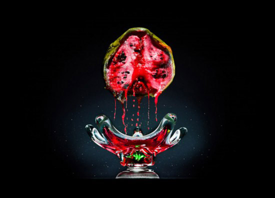 Photography of decayed food