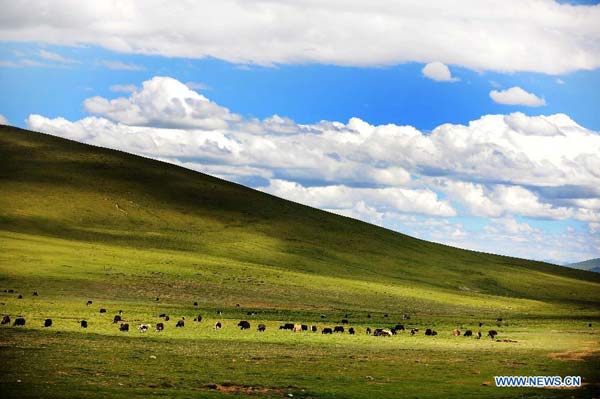 Magnificent scenery in Tibet's Nagqu