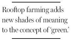 Living off the soil, a few stories off the ground