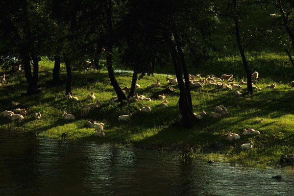 Fascinating sceneries in Chaihe, N China