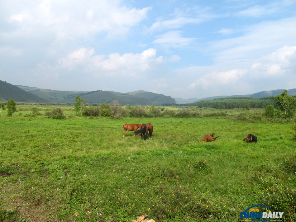 Picturesque view of Saihanba