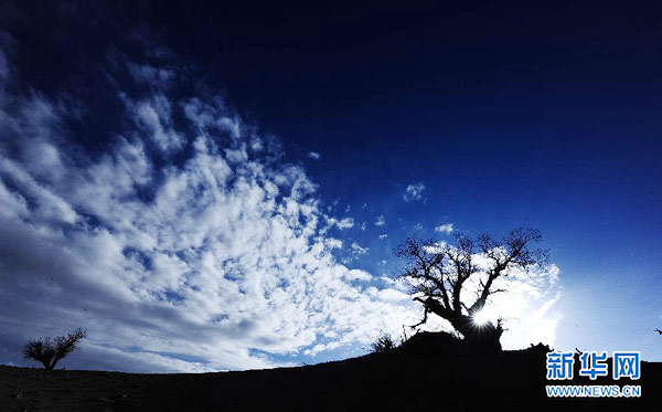 Late autumn scenes in Qinghai