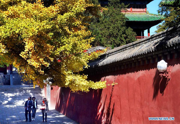 Gorgeous autumn scenery of Shaolin Temple