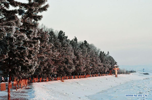 Snow scenery in NE China