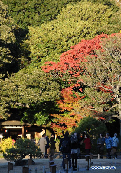 Winter scenery in Rikugi Garden of Tokyo