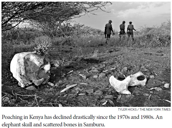 Ivory poachers turn saviors