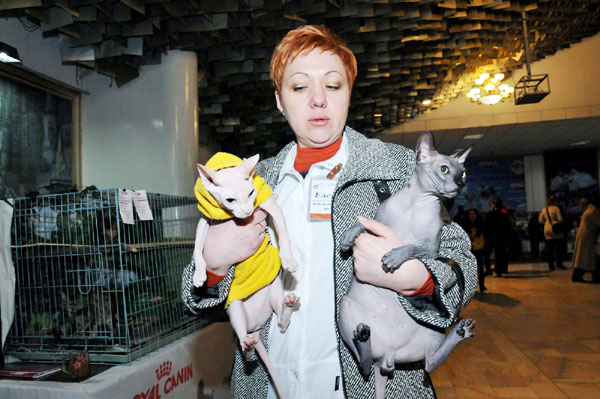 International Cat Show in Bishkek