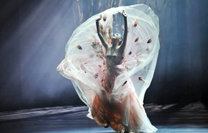 Yang Liping performs in her final dance drama 'The Peacock'