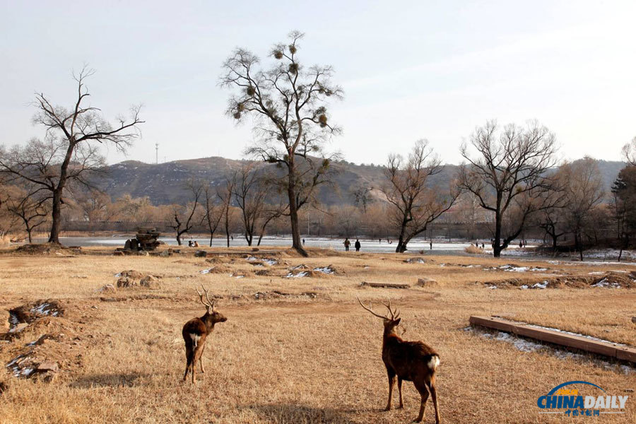 Heritage through lenses:Mountain Resort and its Outlying Temples,Chengde