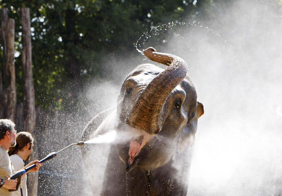 It's hot, take a shower!