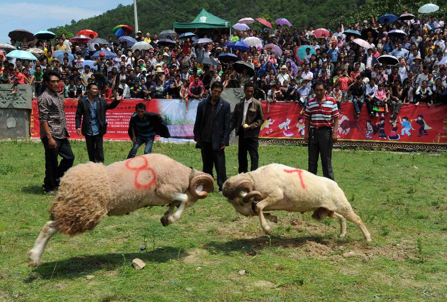 Yi ethnic group celebrate Torch Festival[1]|china