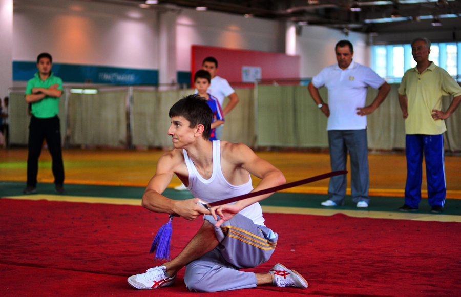 German students learn kung fu in Tianjin