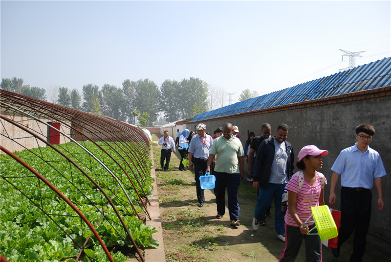 DRC residents enjoy a day on the farm