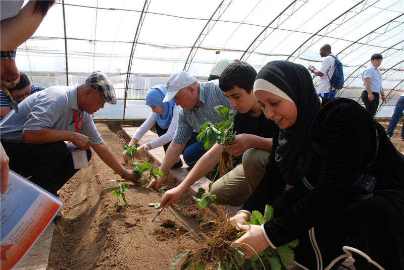 DRC residents enjoy a day on the farm