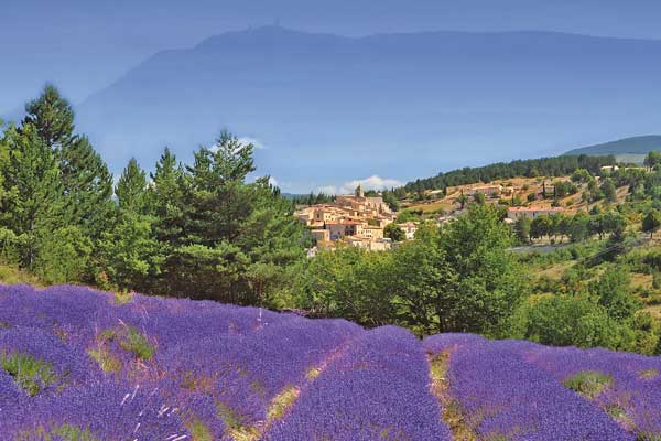 The charms of Provence