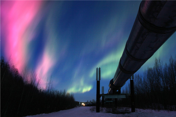 Photos capture Arctic beauty before it is too late