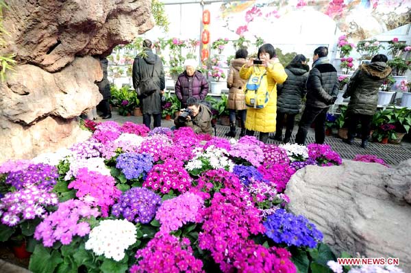 Changchun holds flower show to celebrate Spring Festival