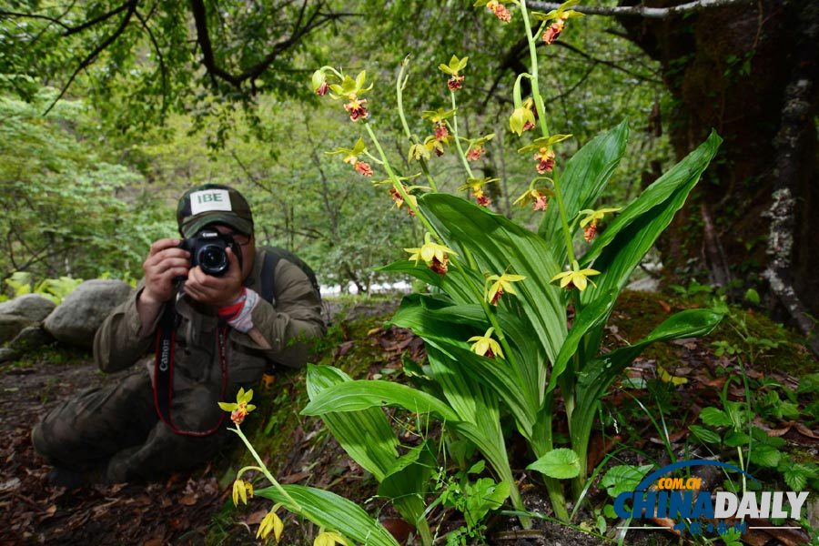 Snapshots of Dulong River Valley