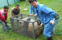 Parcel delivery of live animals criticized
