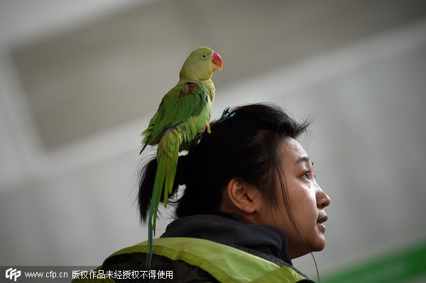 China International Pet Show opens in Beijing