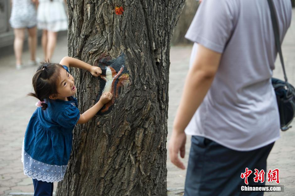 Tree-hole paintings attract crowds in N China