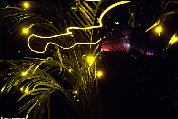 Chinese Valentine's Day: Disaster for fireflies