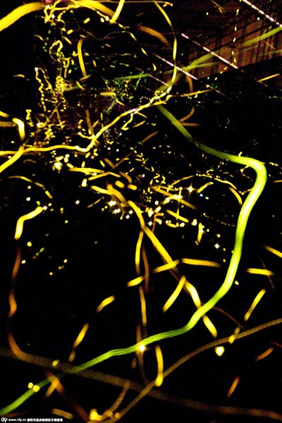 Chinese Valentine's Day: Disaster for fireflies