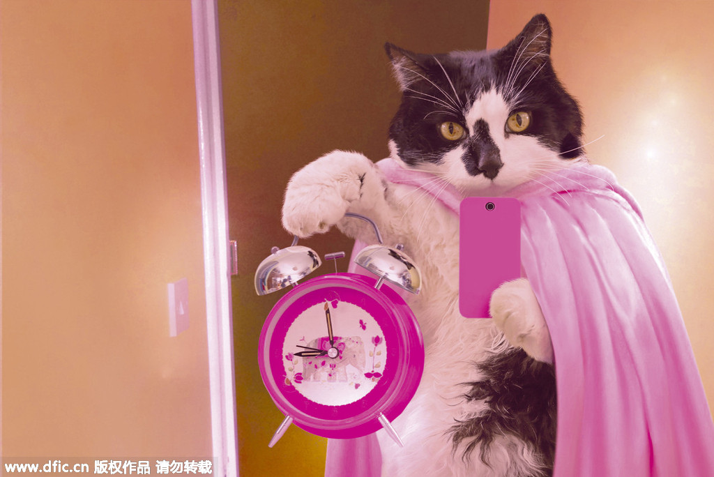 Calendar features picture purr-fect furry friends