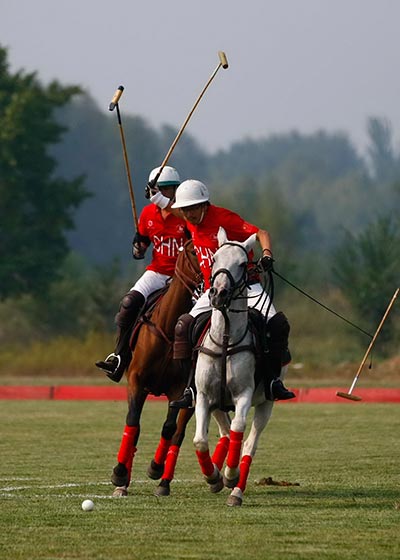 Seeking a polo position in growing sports market