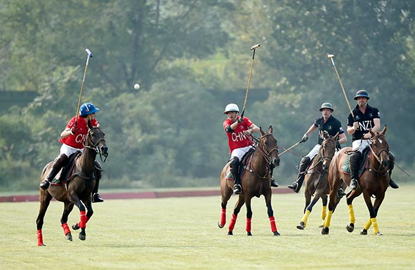 Seeking a polo position in growing sports market