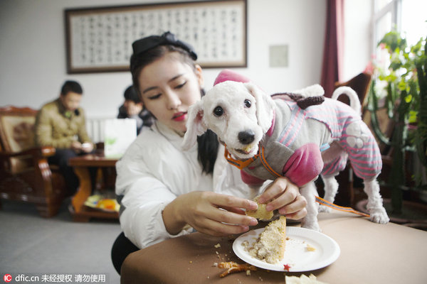 7 weird jobs you never knew existed