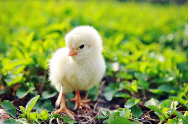 7 weird jobs you never knew existed