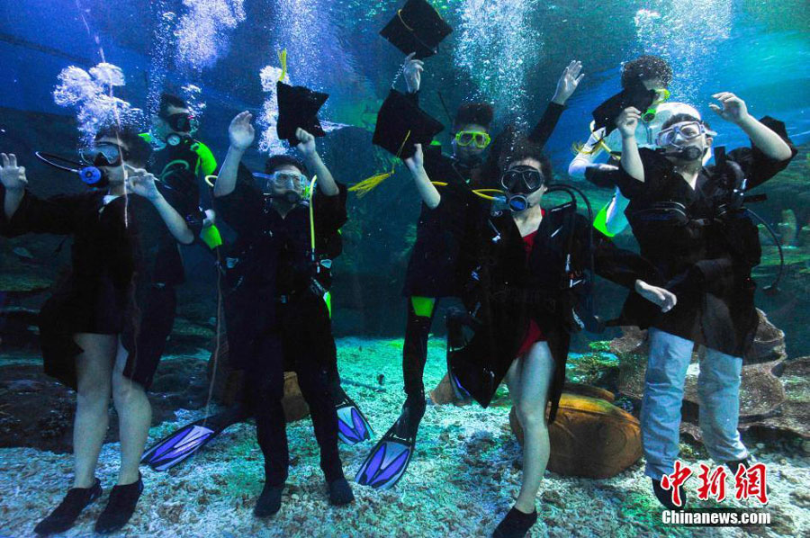 Students go underwater for graduation photos