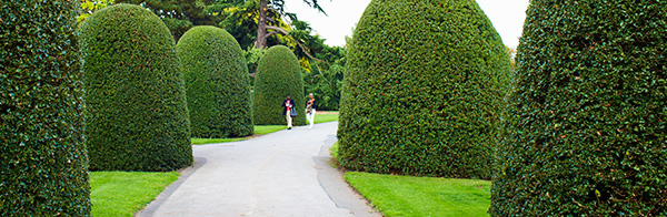 Year of the English Garden includes great view