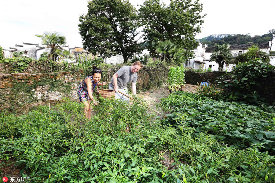 British man falls for ancient Jiangxi village, buys property