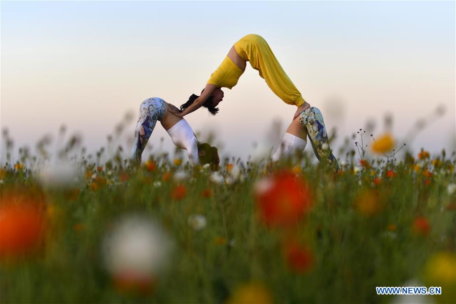 Yoga fans practise yoga on flower farmland in N China's Hebei