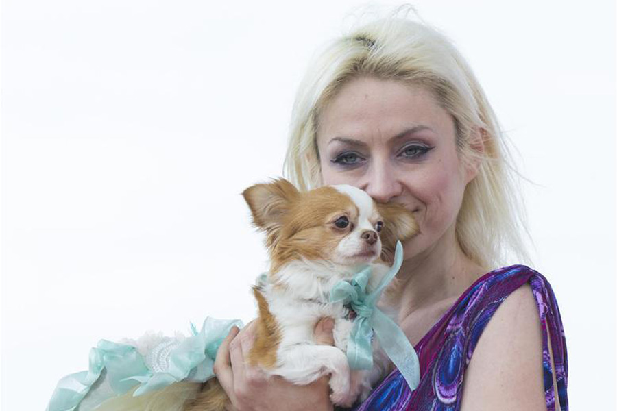 Take closer look at North America's largest festival for dogs