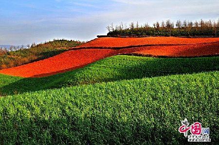 Travel Picks: Top 10 fairylands in Yunnan Province