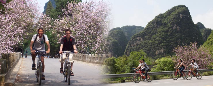 Cycling in Yangshuo