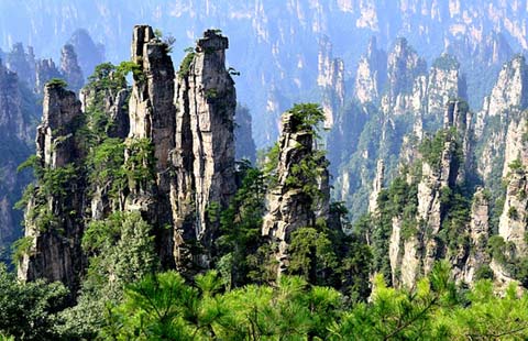 Explore China's World Heritage Site: Zhangjiajie