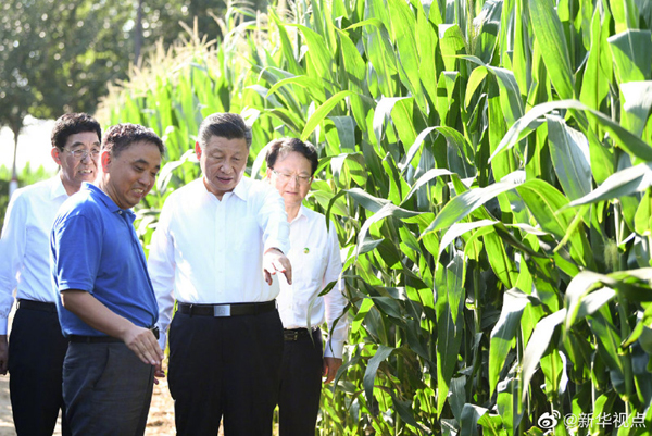 Xi inspects Northeast China's Jilin province