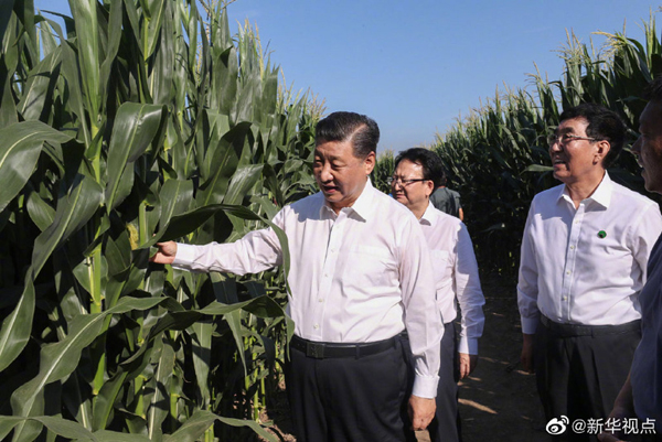 Xi inspects Northeast China's Jilin province