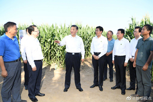 Xi inspects Northeast China's Jilin province